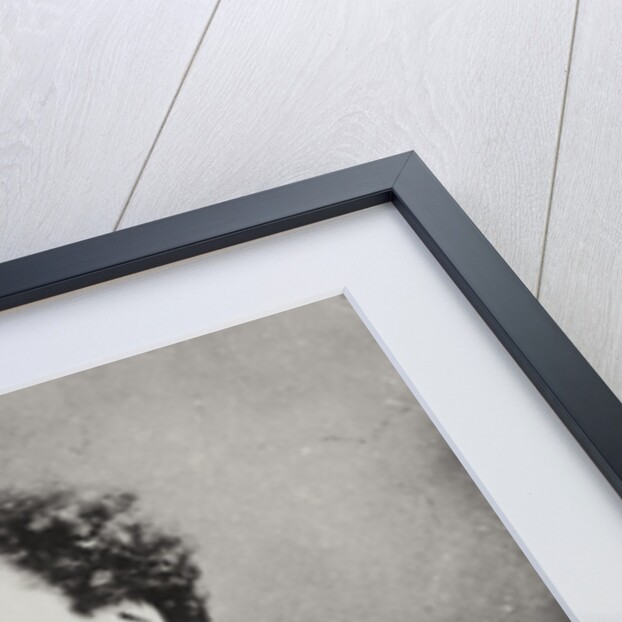 Alexandre Dumas Fils by French Photographer