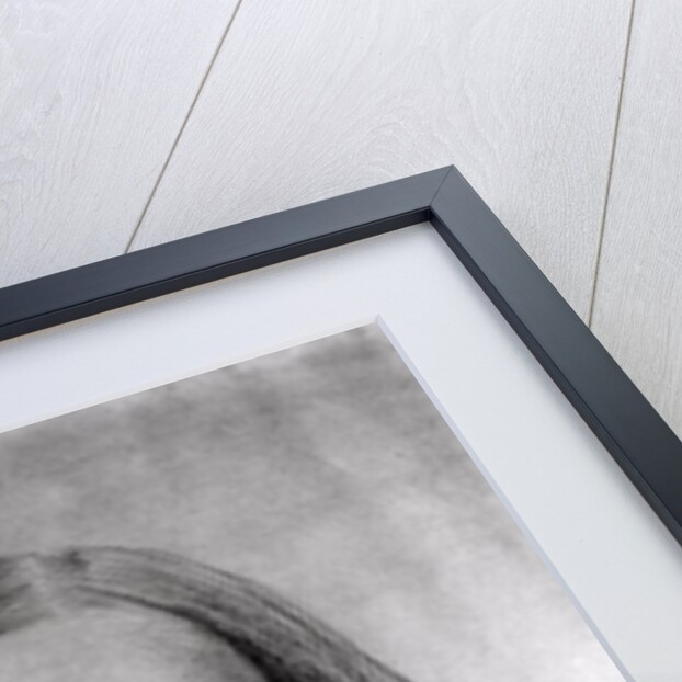 First Study for the Portrait of George Eliot 1860 by Samuel Laurence