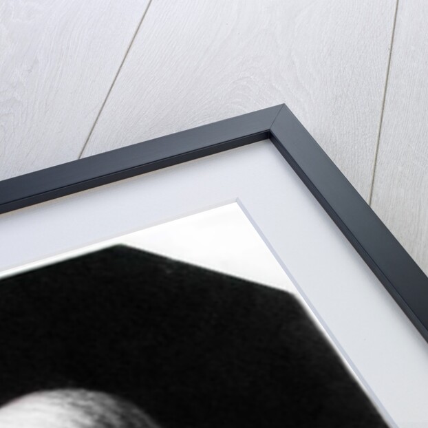 Henry Fielding engraved by Samuel Freeman by William Hogarth