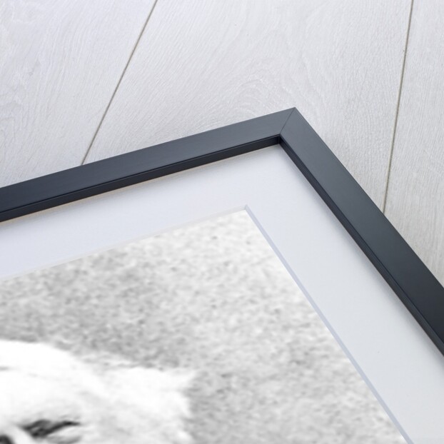 Thomas Love Peacock by English Photographer