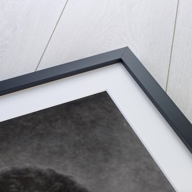 Jean Racine by Jean Baptiste Santerre