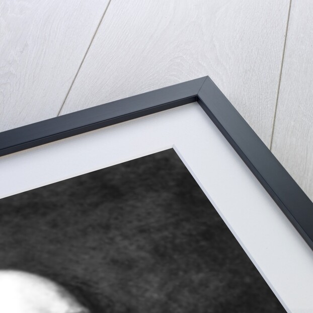 Portrait of Alfred, Lord Tennyson by English School