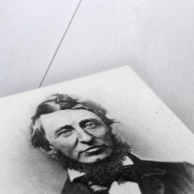 Henry Thoreau by American Photographer