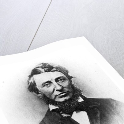 Henry Thoreau by American Photographer