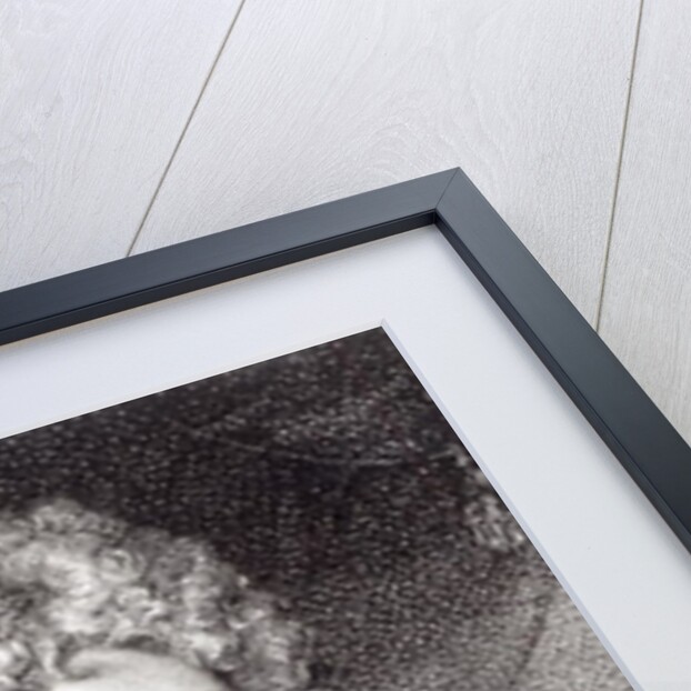 William Congreve engraved by P.W.Tomkins by Sir Godfrey Kneller