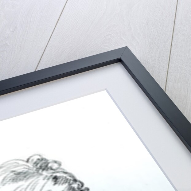 Portrait of Robert Southey by Thomas Phillips