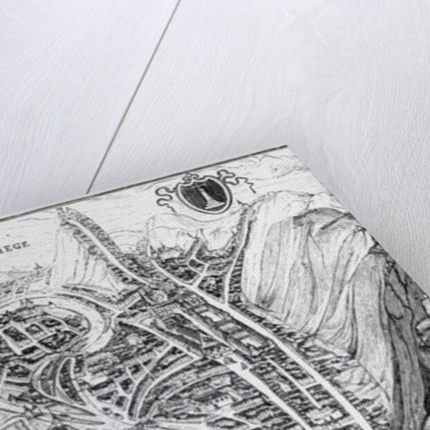 View of the Town of Liege, after a 16th century engraving by French School