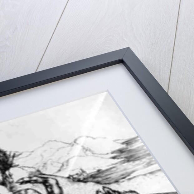 Monstrous Pig by Albrecht Dürer or Duerer