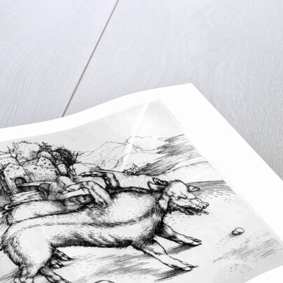 Monstrous Pig by Albrecht Dürer or Duerer