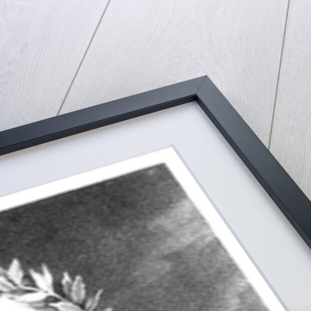 Luiz Vaz de Camoes engraved by B. Roger by Francois Pascal Simon (after) Gerard