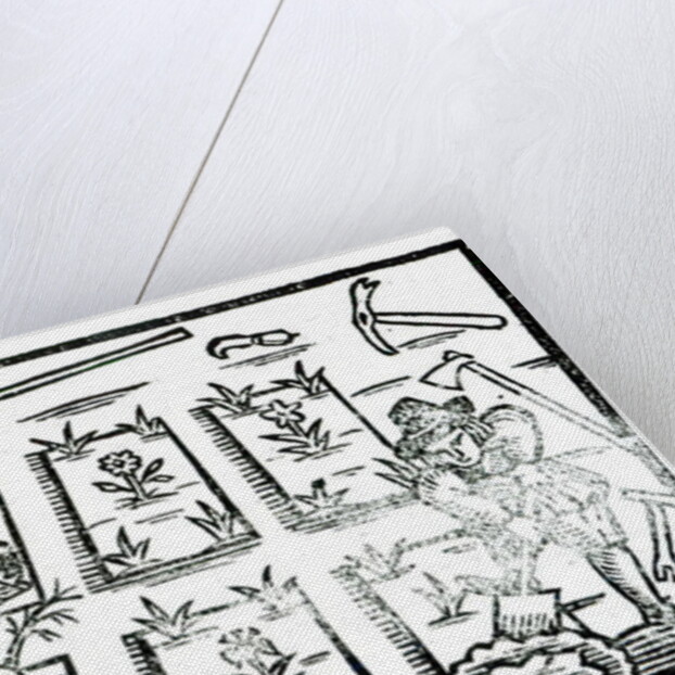 Illustration from a Book on Gardening by English School