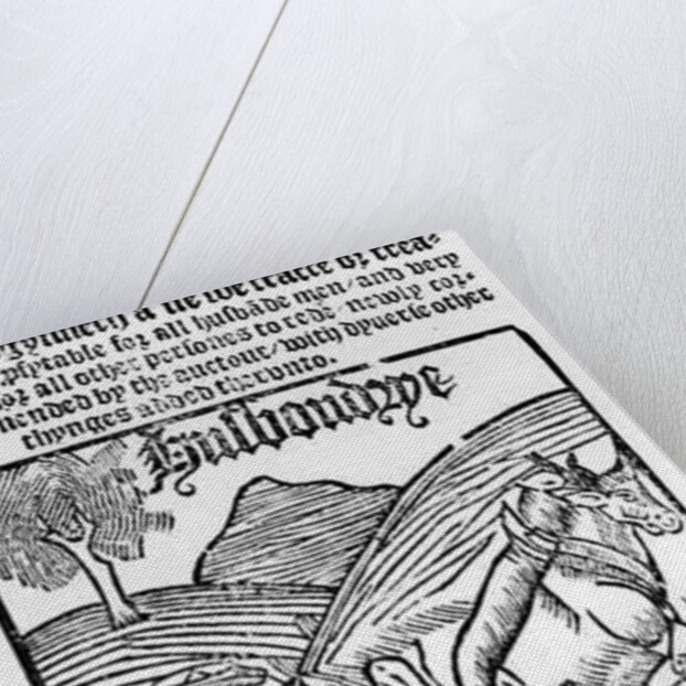 Man Ploughing a Field by English School