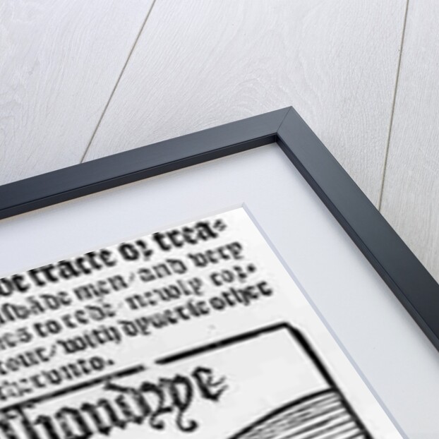 Man Ploughing a Field by English School