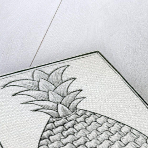 Illustration from 'De la natural hystoria de las Indias' by French School