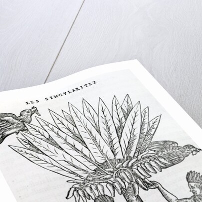 Harvest by French School