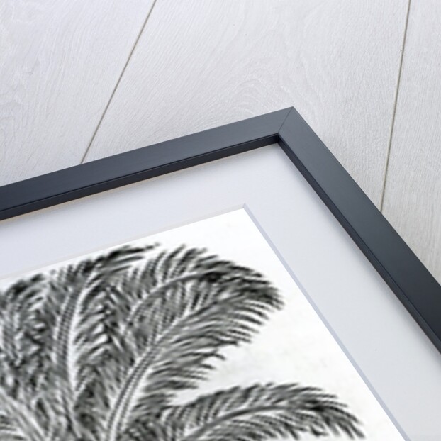 Harvest by French School