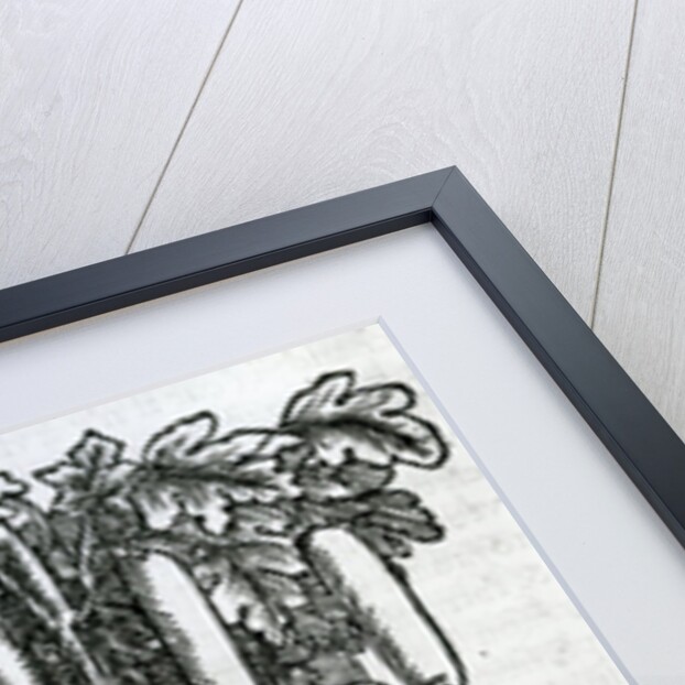 Tree harvest by French School