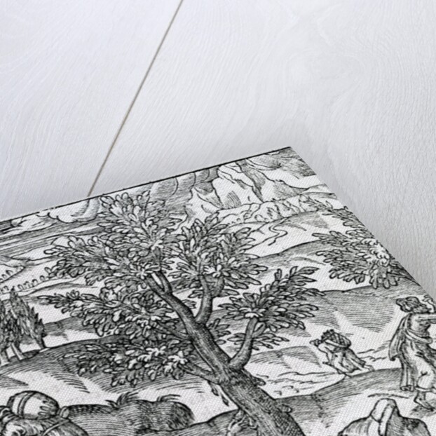 Collecting incense from Pine trees by French School