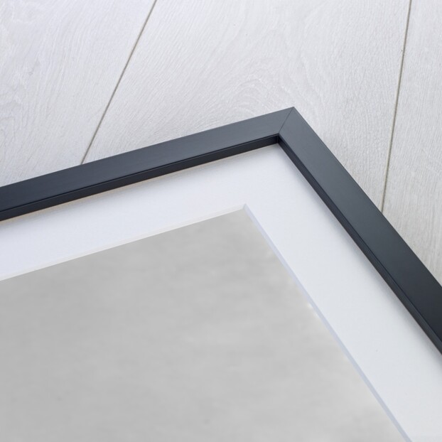 The Astrolabe in Pack-Ice, 1838 by Auguste Etienne Francois Mayer