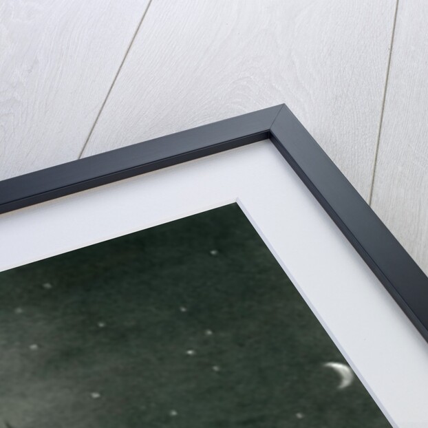 HMS Assistance and Pioneer in Winter quarters returning Daylight by English School