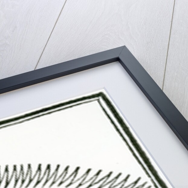 A Reptile found in the New World by Spanish School