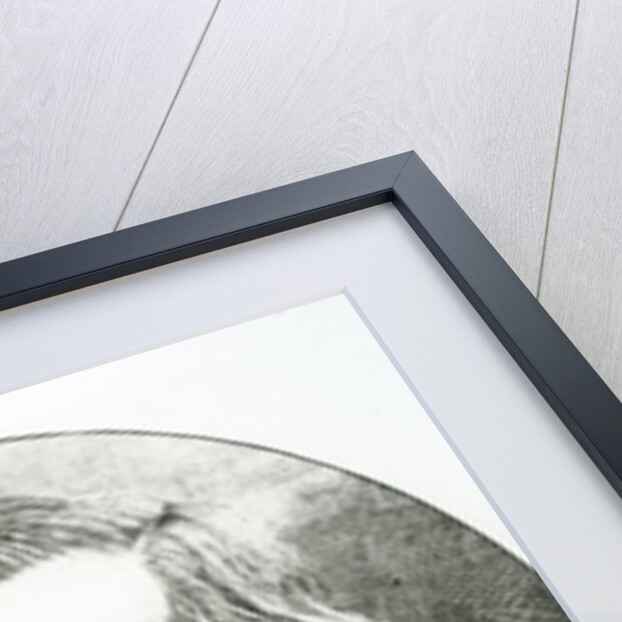 Portrait of Giuseppe Verdi by Anonymous Anonymous