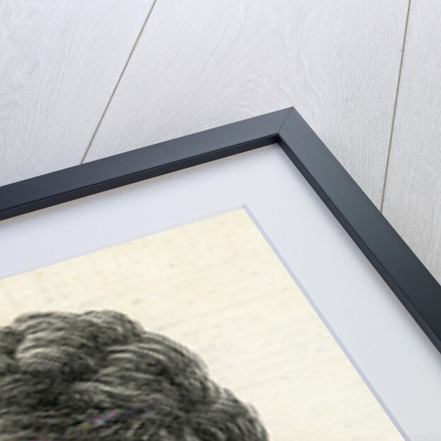 Euphrosyne Parepa-Rosa by English School