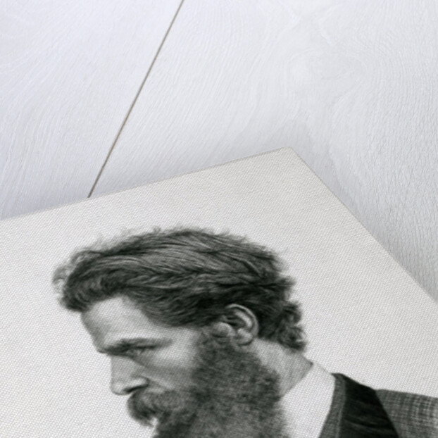 Portrait of Giulio Monteverde by Unknown Artist