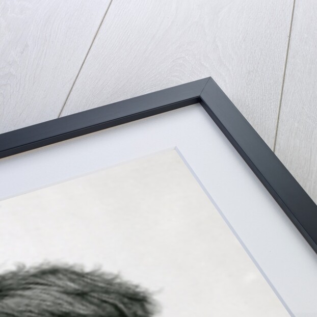 Portrait of Giulio Monteverde by Unknown Artist