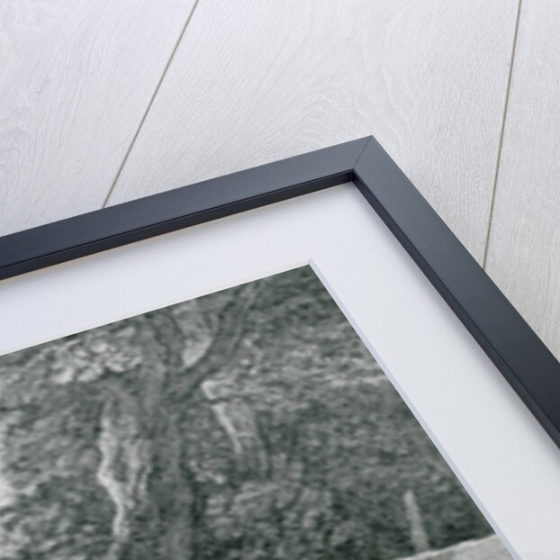 Jean Antoine Watteau and his friend Monsieur de Julienne by Nicolas Henri Tardieu