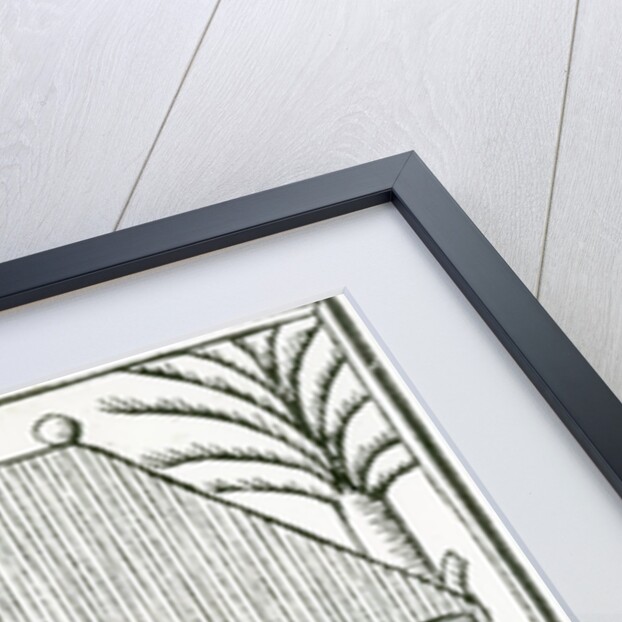 An Indian Habitation from 'la Historia general de las Indias' 1547 by Christopher Columbus