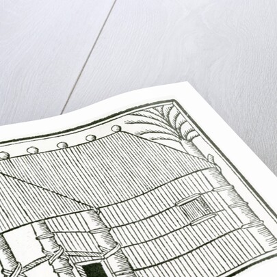 An Indian Habitation from 'la Historia general de las Indias' 1547 by Christopher Columbus