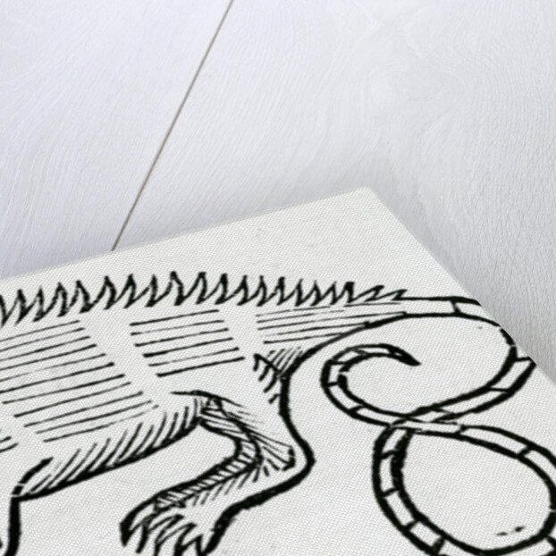 Iguana from 'la Historia general de las Indias' 1547 by Christopher Columbus