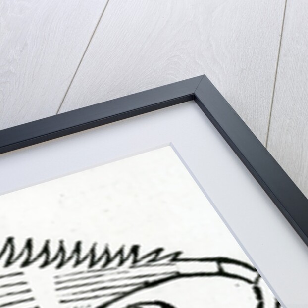 Iguana from 'la Historia general de las Indias' 1547 by Christopher Columbus