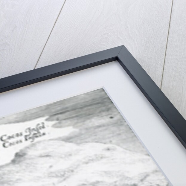 View of Cocos Island and Verraders Island, 1655 by Mattaus the Younger Merian