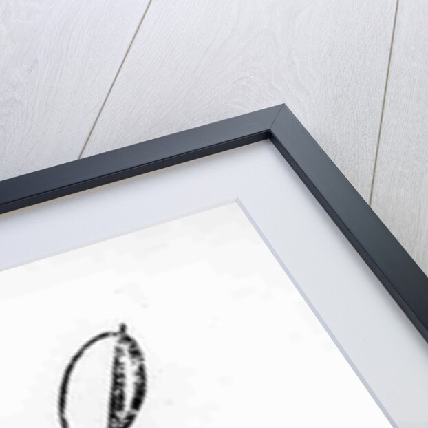 Reproduction of the signature of George I by Anonymous