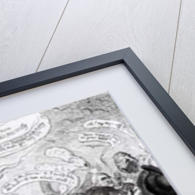 A Radical Reformer, a Neck or Nothing Man! Dedicated to the Heads of the Nation, pub. by Thomas Tegg, 1819 by George Cruikshank