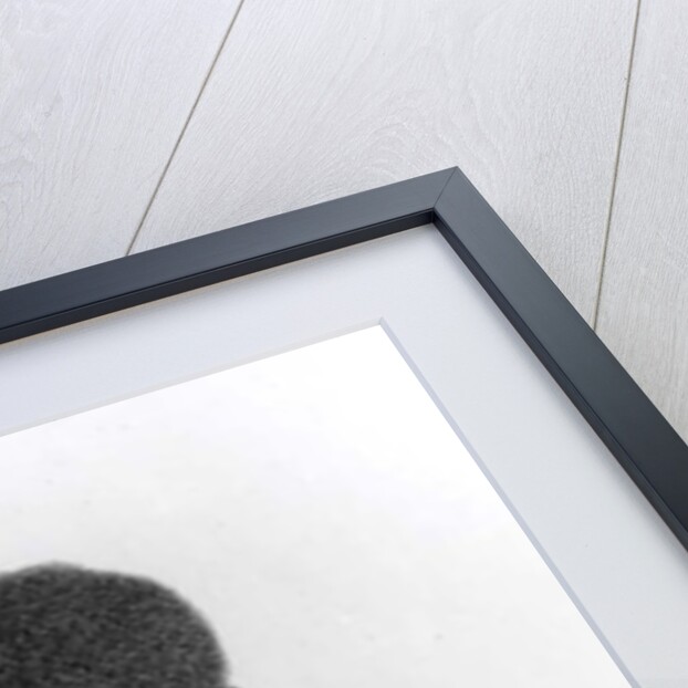 William Beckford Esq. Author of Histories of France and Jamaica, from a shade, pub. by Vernor & Hood, 1799 by John Miers