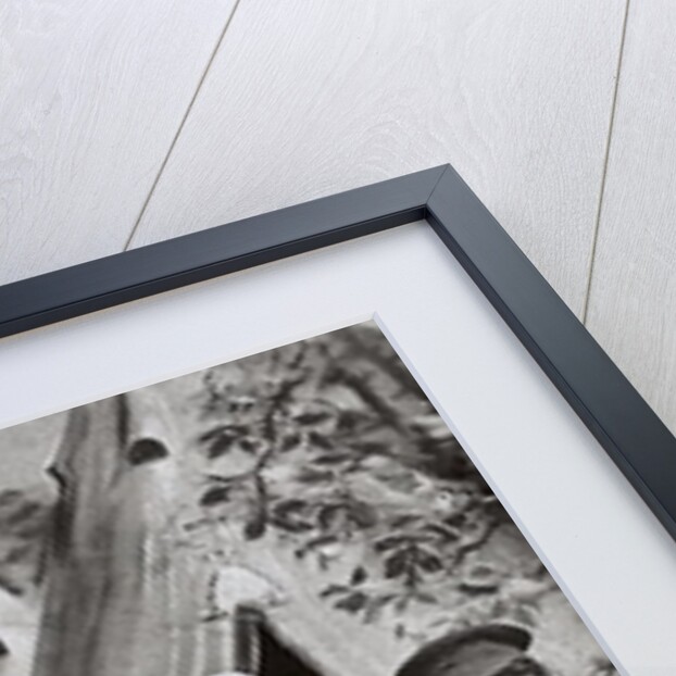 Women at War, 1914-18 by English Photographer