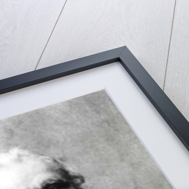 Portrait of Thomas Babington Macaulay, 1st Baron Macaulay by English Photographer