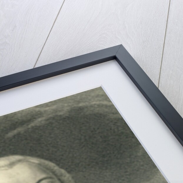 Georges-Louis Leclerc Count de Buffon by English School