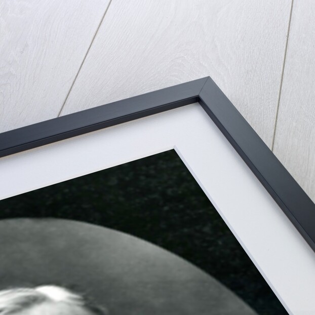 Edmond Felix Valentin About by Nadar