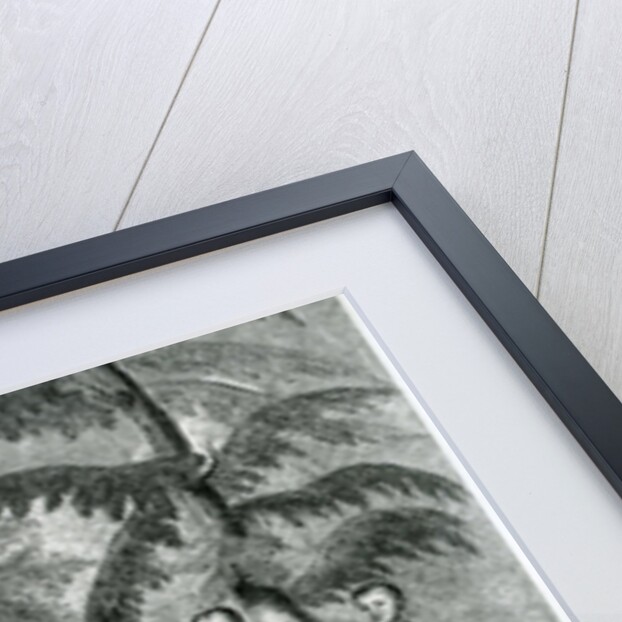 Cherokee Chiefs from Carolina, c.1730 by English School