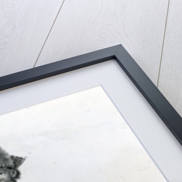 Kazembe, or King of Lunda, South of Lake Mweru, 1891 by English School