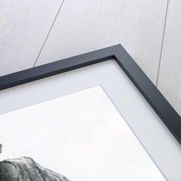 Rahim Bin Bibula, Chief of Jajani, Moma river, 1879 by English School