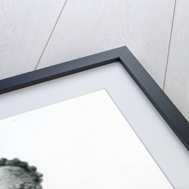 Merere, chief of the Usango from 'Travels in Africa', 1879 by English School