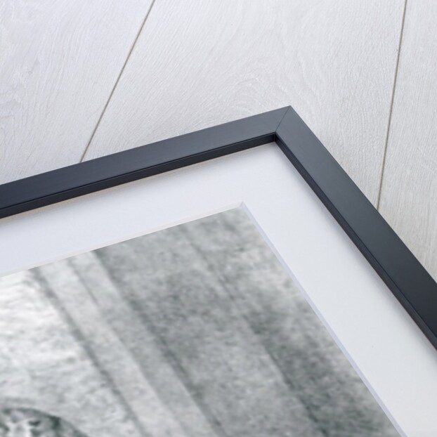 Muhammad Ali Pasha of Egypt, 1818 by Comte de Forbin