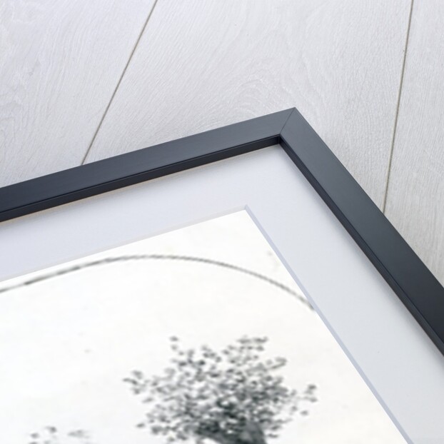 Said Majid, Sultan of Zanzibar by English School