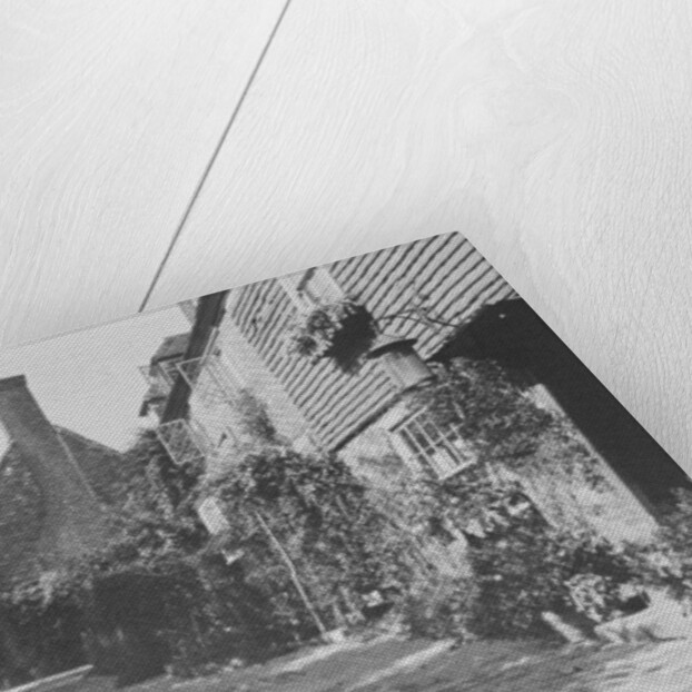 The Walks, Groombridge by English Photographer