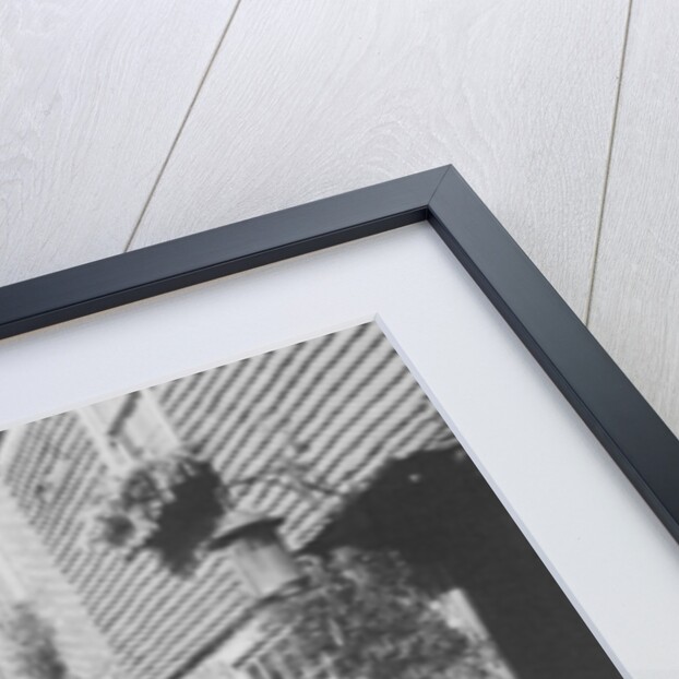 The Walks, Groombridge by English Photographer